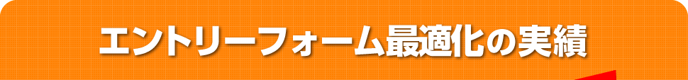 エントリーフォーム最適化の実績