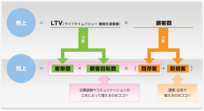 LTV分析、顧客生涯価値、通販サポート、リピート率の改善